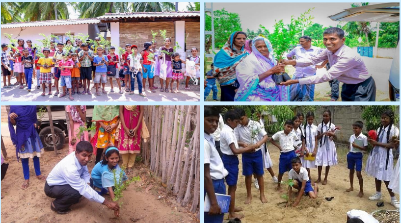 Promote home gardening and fruit plants planting at schools (Continuing since 2016)